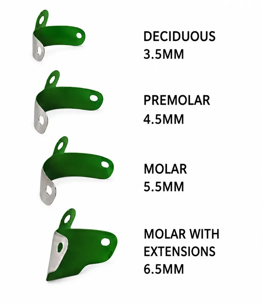 Palodent Plus Matrix-Non Sticking Coating-Molar-5.5mm-Pk/50-CR-1027
